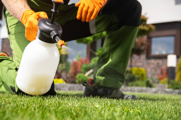 Best Affordable Pest Control Services  in Somerville, TN