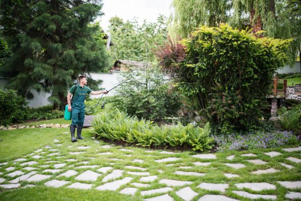 Best Affordable Pest Control Services  in Somerville, TN