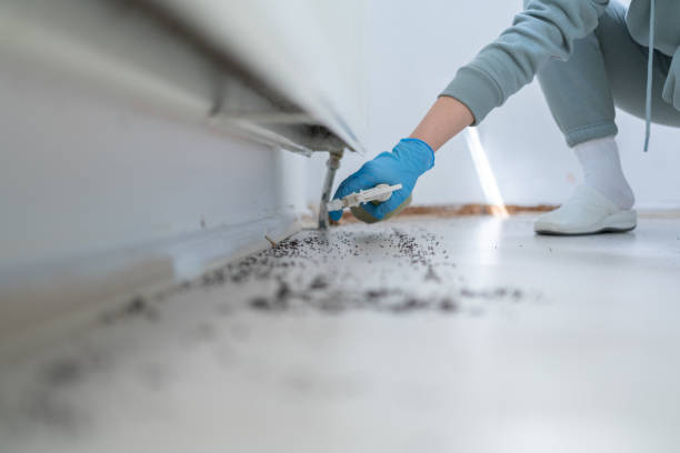 Wildlife Control Services in Somerville, TN