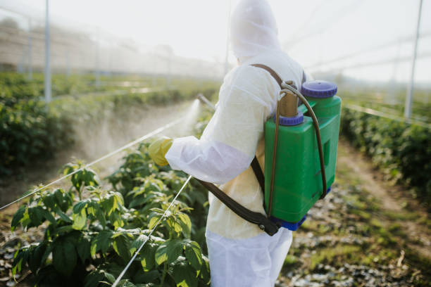 Best Pest Inspection Near Me  in Somerville, TN